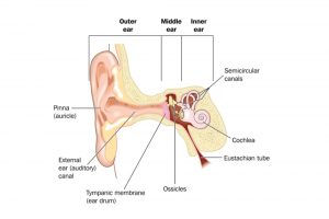 eustachian tube dysfunction