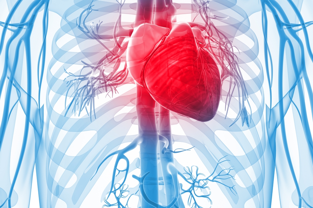High Triglycerides Causes And Treatment Qoctor Your Online Doctor