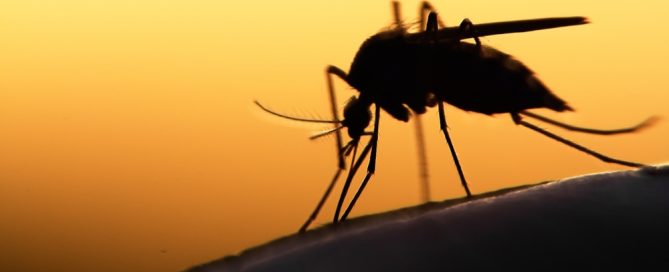 how do you get malaria, what are the symptoms of malaria and is malaria contagious?