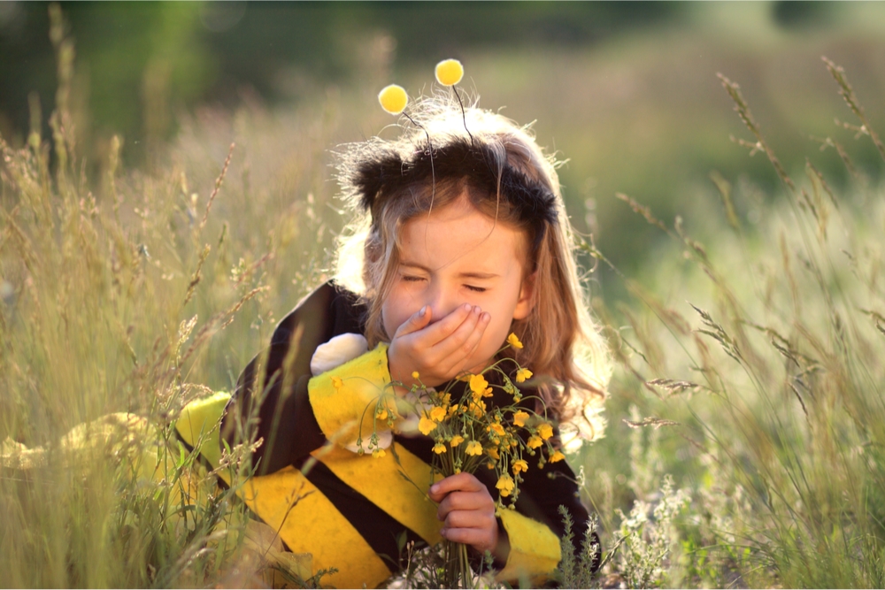 hay fever 5